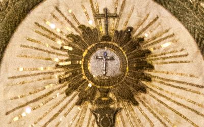 Publicado el Boletín Digital nº 7, mayo de 2019