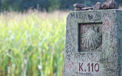 La Juventud de Santa Marta en el camino de Santiago