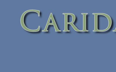 Ayuda al comedor del Pumarejo