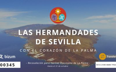 Campaña de las hermandades de Sevilla para la Isla de la Palma