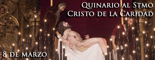Quinario 2011 P