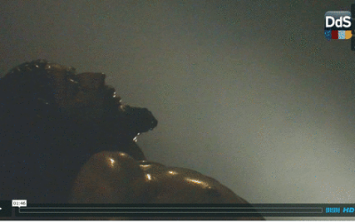 El Via Crucis de la Hermandad en los medios de comunicación