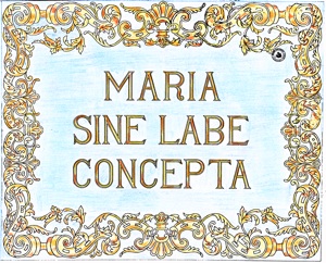 Bordado del nuevo Sine Labe