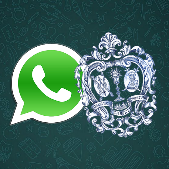 Whatsapp Santa Marta escudo