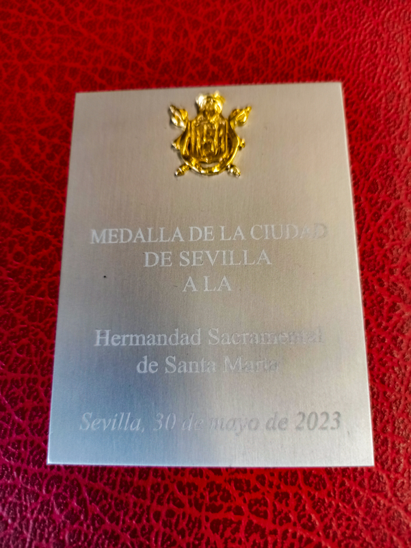 Entrega Medalla de Sevilla 7